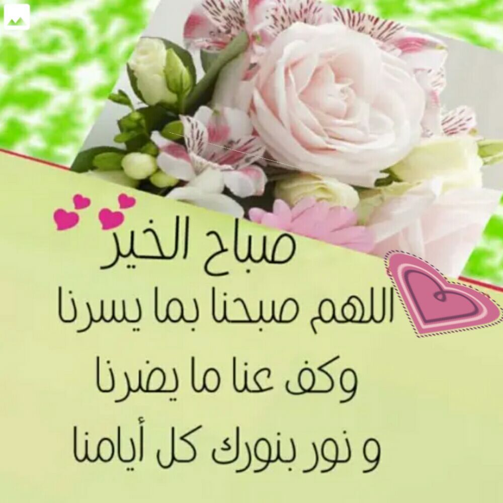 صباح نور 90 1