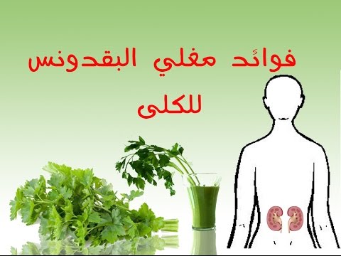 فوائد البقدونس - عشبة البقدونس المفيدة للجسم 5806 13