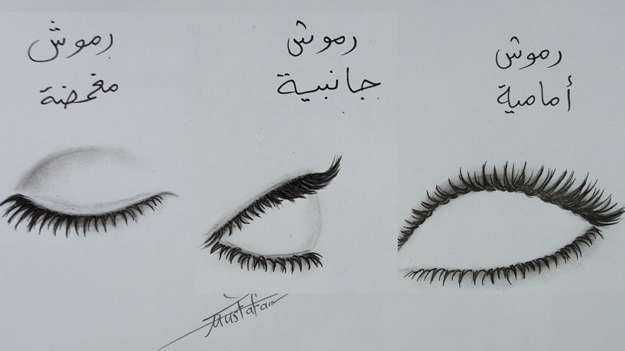 كيف تتعلم الرسم - تعرف علي اساسيات تعلم الرسم 3025 1