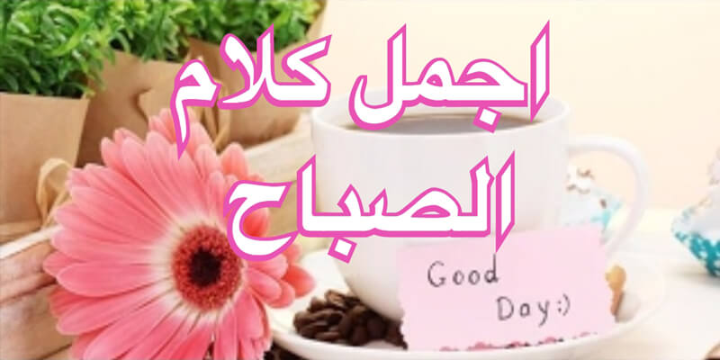 صباحك ورد وفل - عبارات صباحية للحبيب 892 11