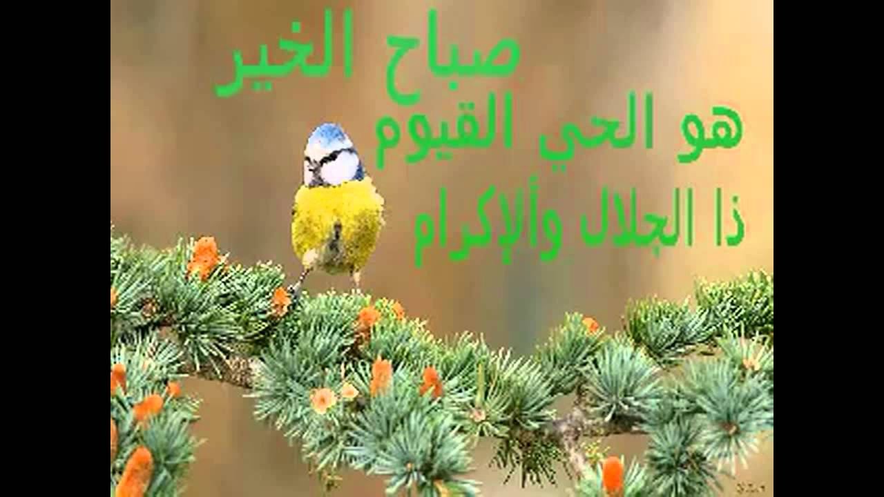 صور عن صباح الخير - صورة رائعه معبره عن الصباح 5101