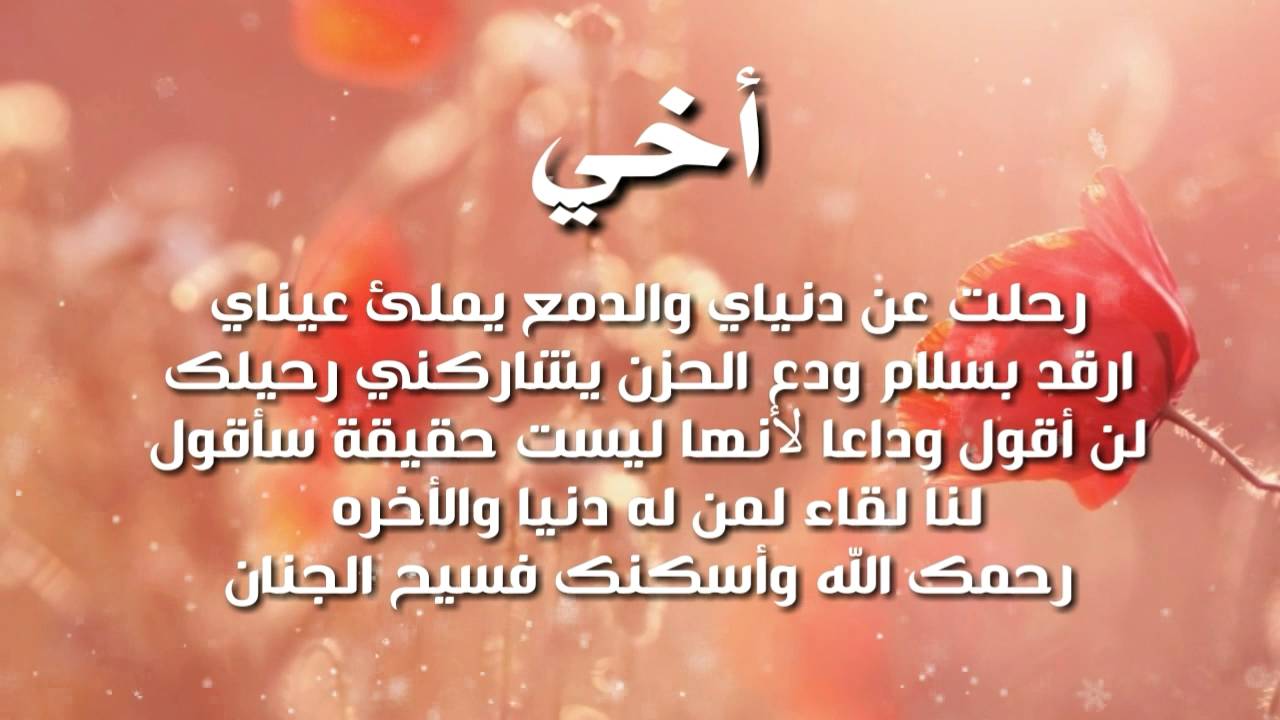 كلمه عن الاخ - انت سندى بعد ابى 3421 12