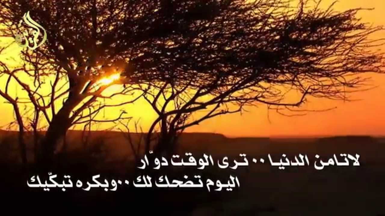 هتشوفوا فيها عجب العجاب - صور عن الدنيا 5081 7