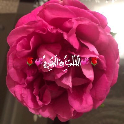 صباح الخير وكل الخير 6566 7