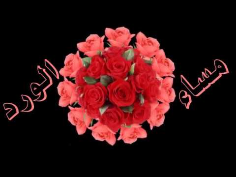 صور مساء الفل - احلي مساء الفل 4409 1