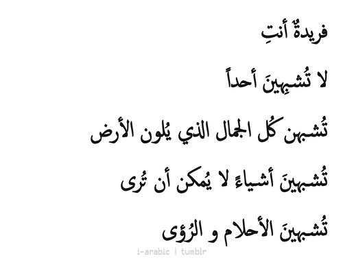 شعر غزل فاحش في وصف جسد المراة