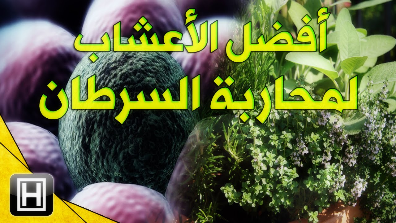 علاج السرطان بالاعشاب - اقوى الاعشاب التى تساعد على علاج السرطان 4927 1