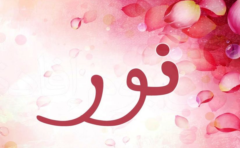 اجمل المعاني والصفات الغريبه - ما معنى اسم نور 3465