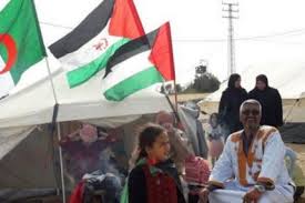 صور عن فلسطين 3201 10