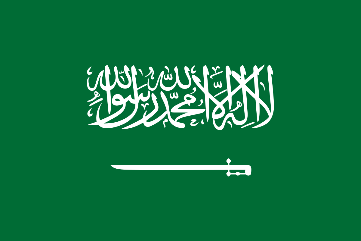 صور علم السعوديه 116