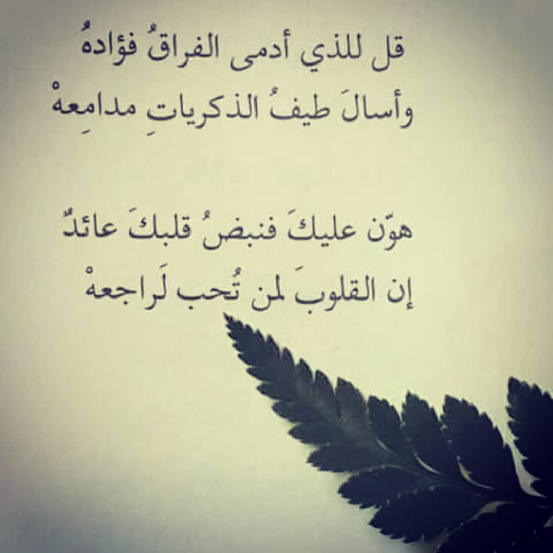 شعر بدوي غزل 5022 8