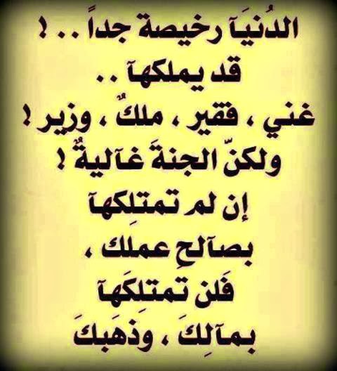 شعر عن الدنيا 2465 7