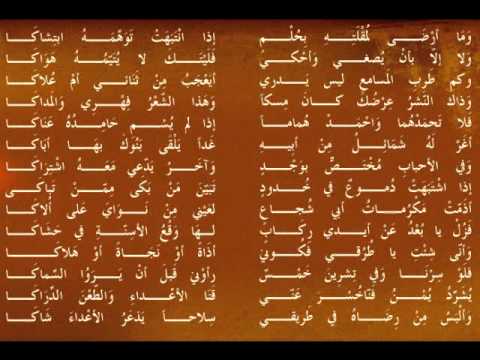 تحليل بلاغي لقصيدة المتنبي - معلومات عن الشاعر الحكيم 10320