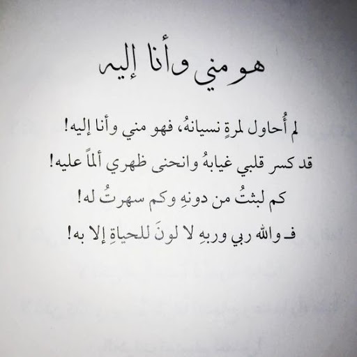 شعر في الحب 2384