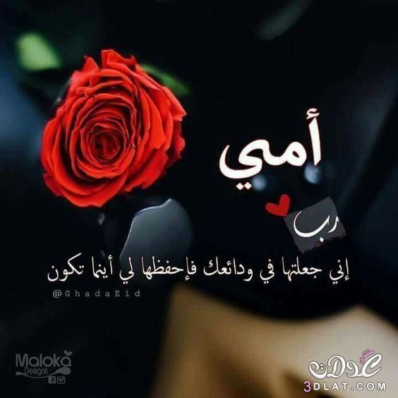 صورة عن الام 11593 3