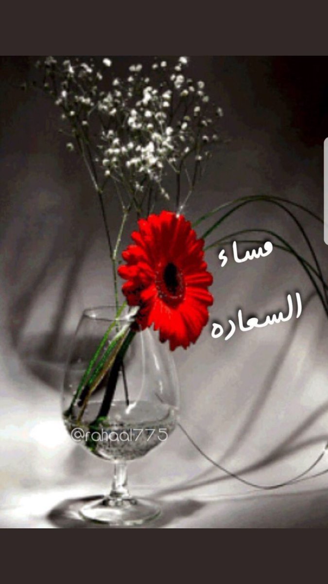 مساء تويتر 6279 4