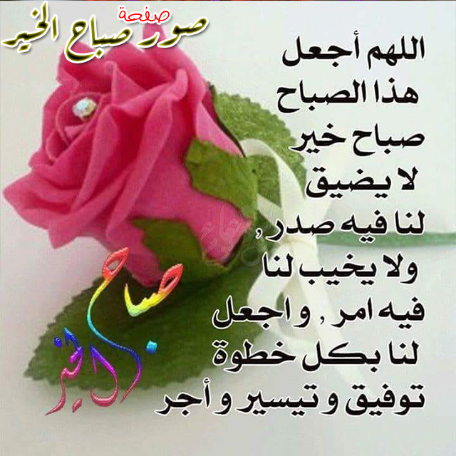 صباح الخير صور 2480 1