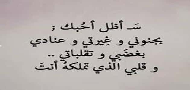 اجمل ماقيل في الحب - لازم تعرف كلام الحب وروعاته 1296 12