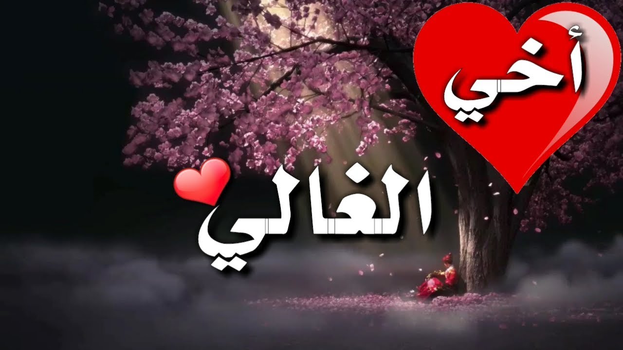 انشاء عن الاخ 2532 1