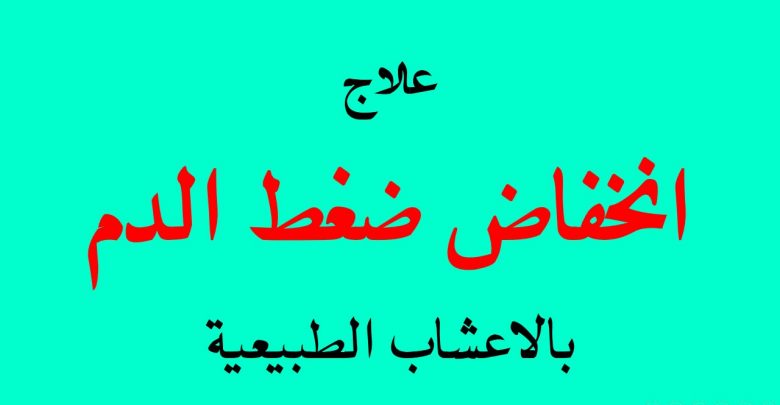 علاج ضغط الدم المنخفض بالاعشاب - ادويه طبيعيه جدا للعلاج الضغط الواطى 10298 3