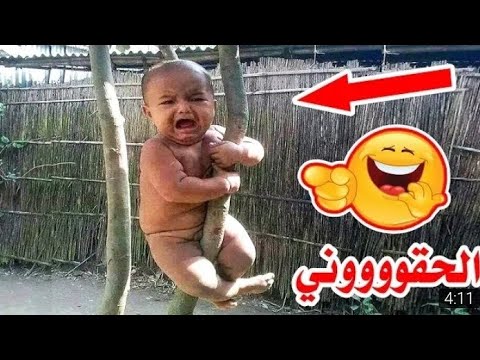 لقطات مضحكة , عايز تضحك لازم تتفرج ع الصور دى مسخره فعلا