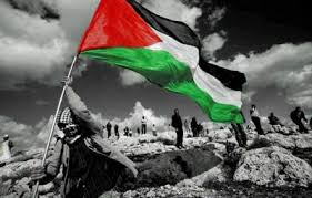 صور عن فلسطين 3201 2