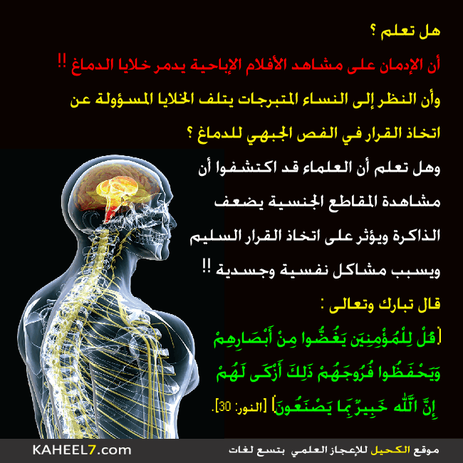 صور علمية - تشكيلة من الصور العلمية الحقيقية 2049