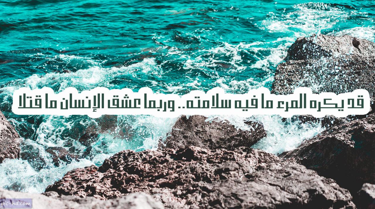 صور عن الكره 6050 1