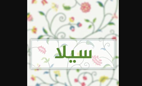 معنى اسم سيلا - اسم سيلا وصفاتها 730