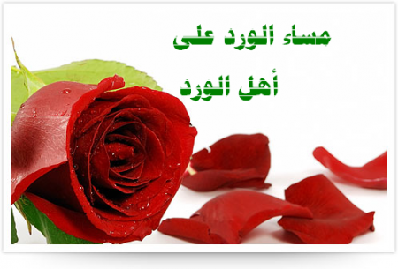 صور مساء الفل - احلي مساء الفل 4409