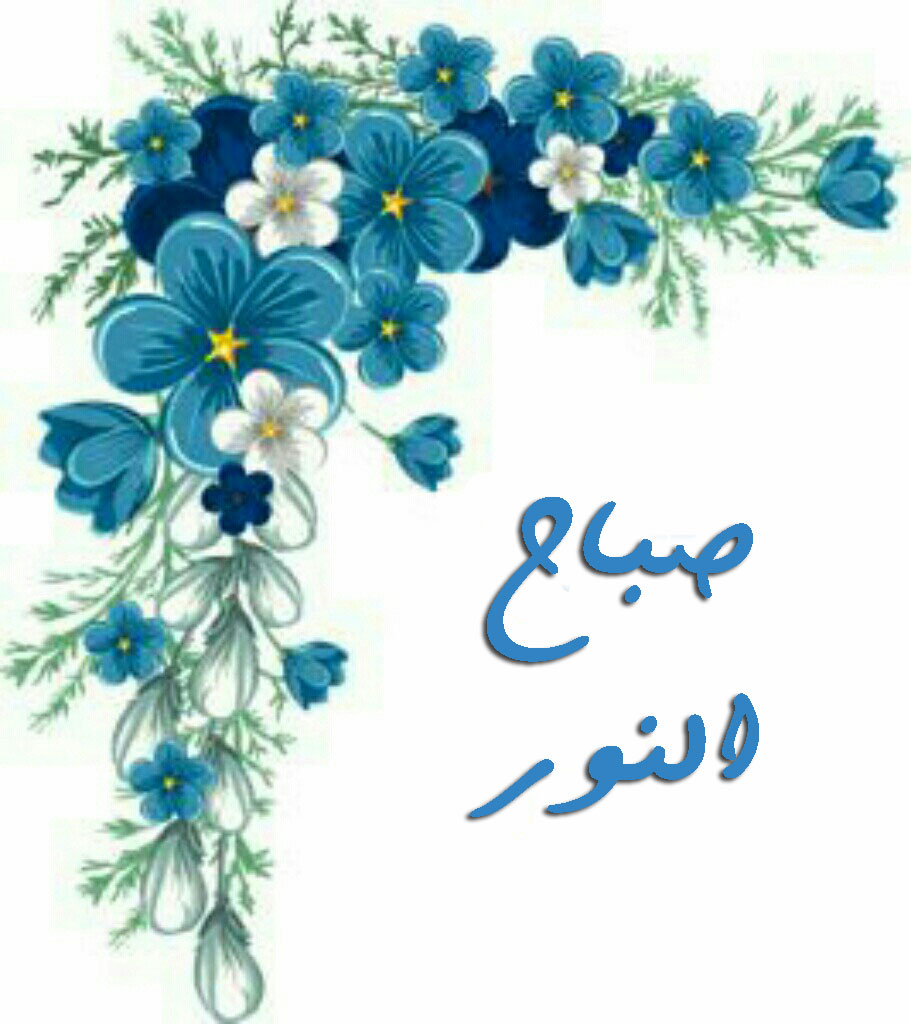 صباح نور 90 11