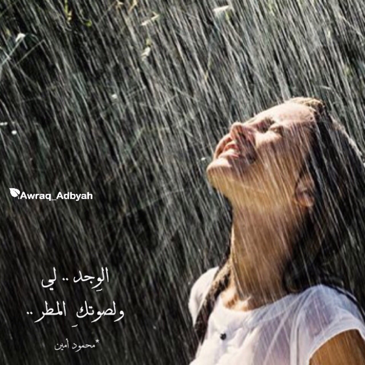 شعر عن المطر 3629 8