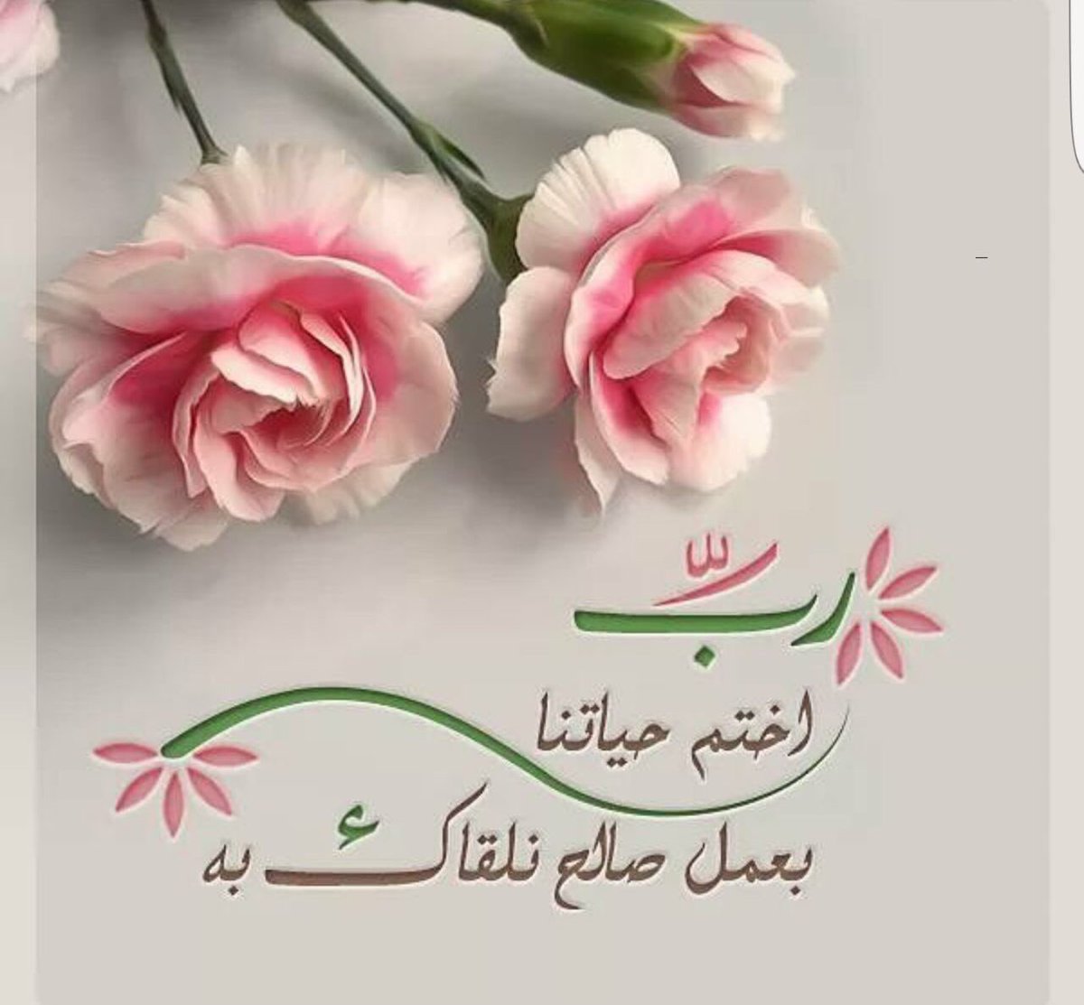 صور اللهم امين 3529 3