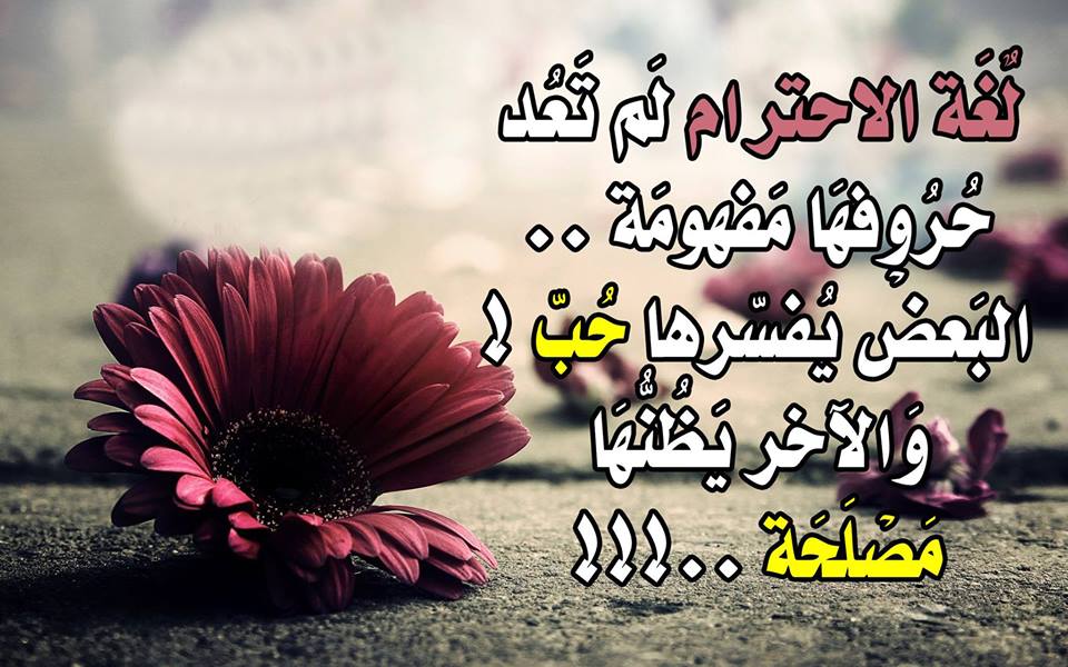 صور مكتوب عليها اشعار - اروع الاشعار بى الصور 4968 6