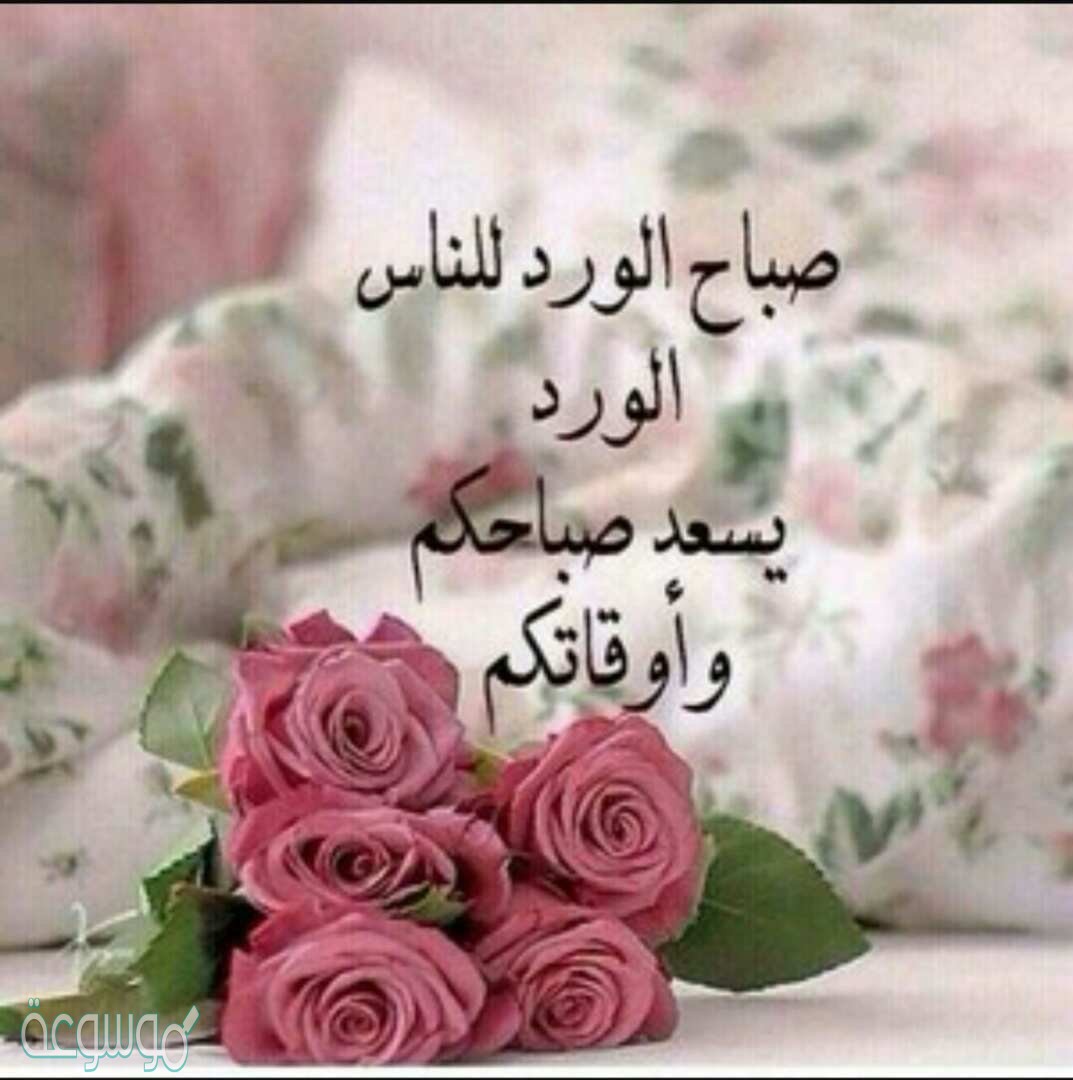 صباح الخير للحبيب بالصور 2237 6