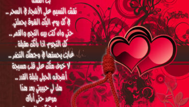 احلى شعر حب 2398 5