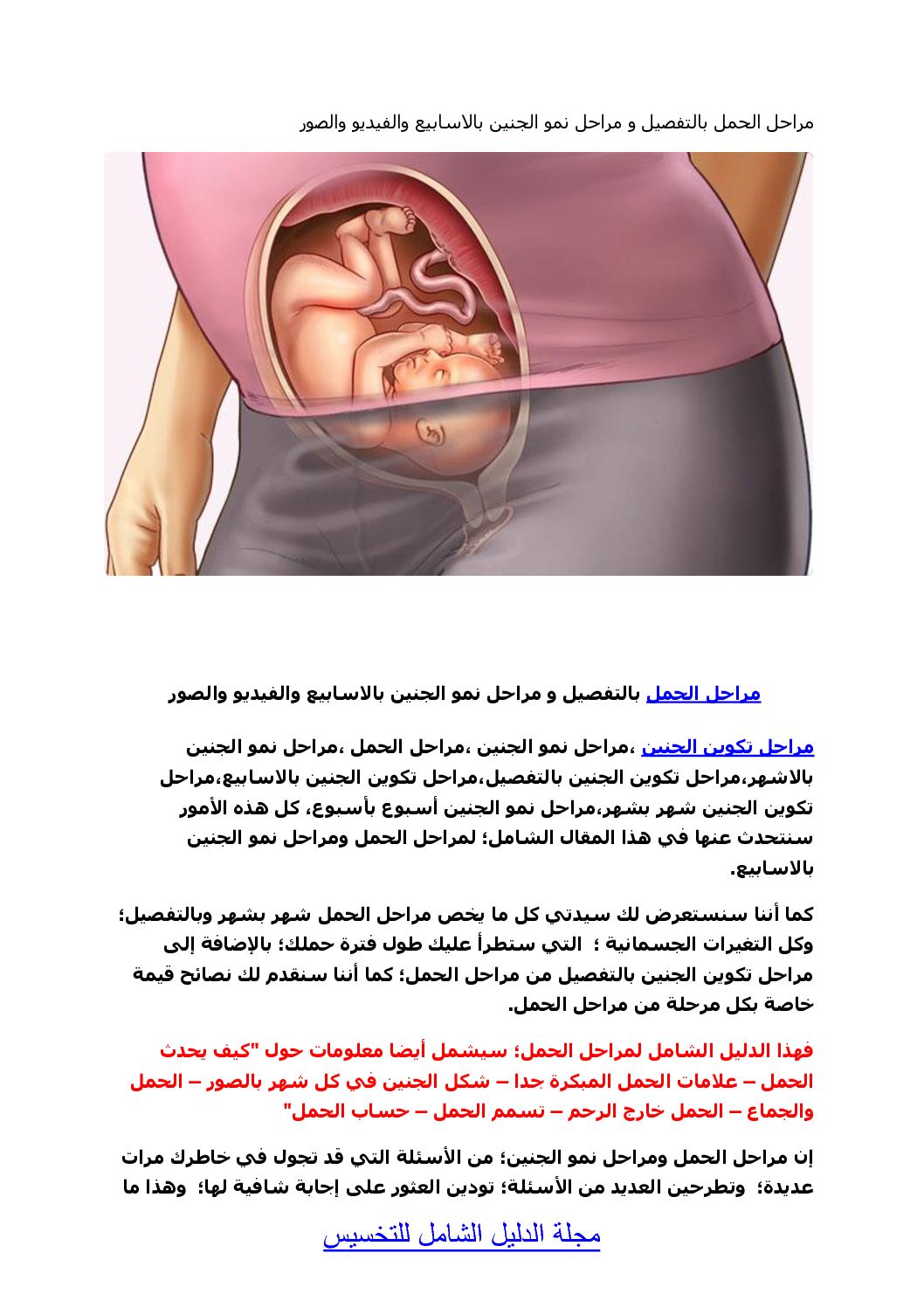 مراحل تكوين الجنين بالصور من اول يوم - الحمل وتكوين الجنين ومراحل النمو 3371 1