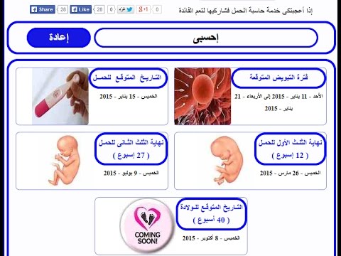 حاسبة الحمل والولادة - حاسبة الحمل الدقيقة لمعرفة مواعيد الولادة 1909 3