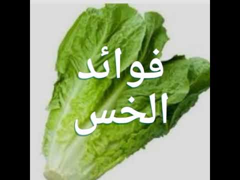 فوائد الخس - هناك عناصر تساعد على حماية الجسم 871 2