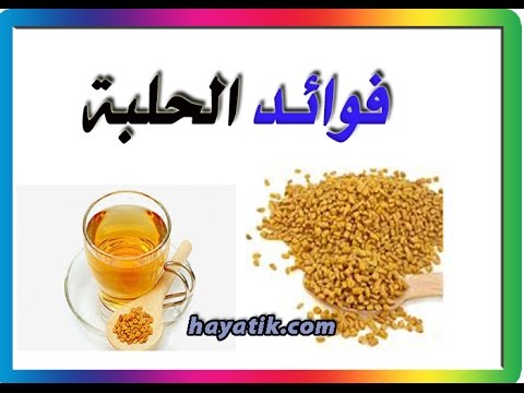 فوائد الحلبة - اهم فوائد الحلبة 4431