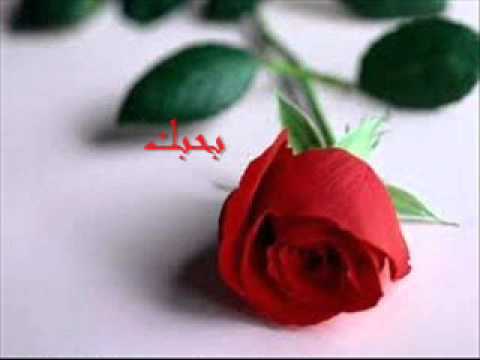 صور كلمة بحبك 2643 8