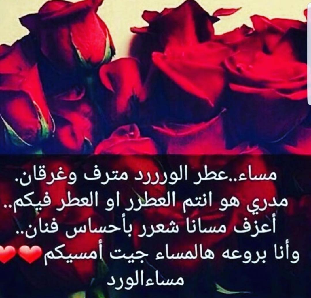 شعر مساء الخير 2374 8