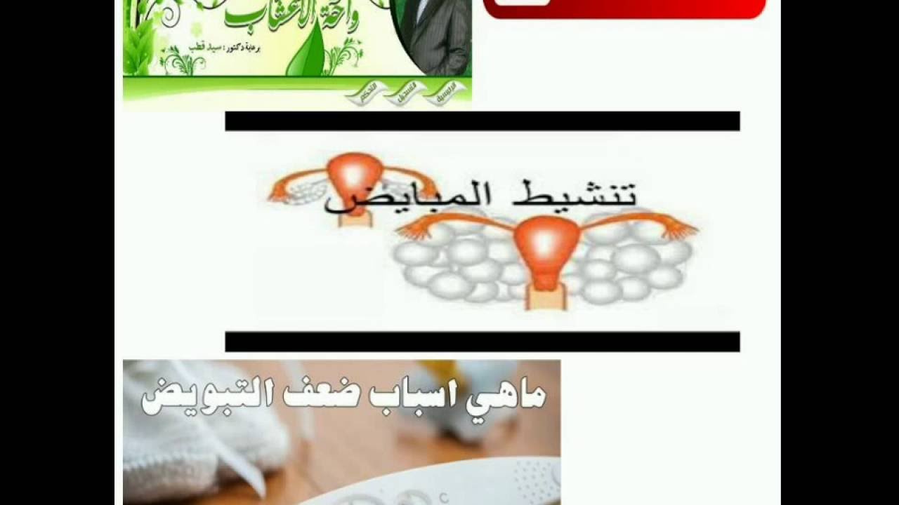 علاج ضعف المبايض 3492 5