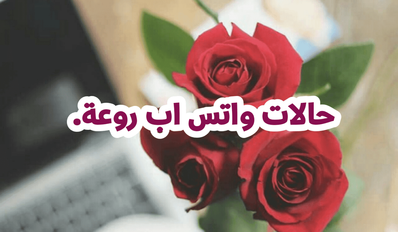 صور حلوة للواتس - شوف اجمل الصور للواتس روعة 6048