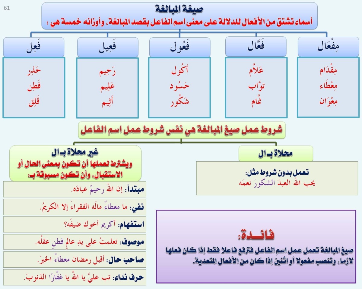 كلمات على وزن فعيل - اشهر الكلمات على هذا الوزن الرائع 10761 1