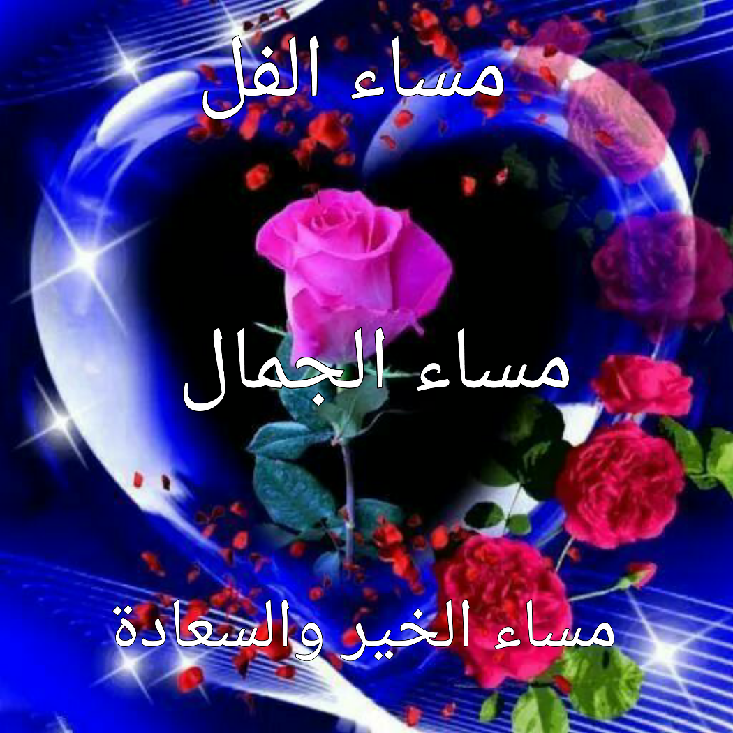 اروع الصور للمساء الجميل - مساء الخير Gif 5130