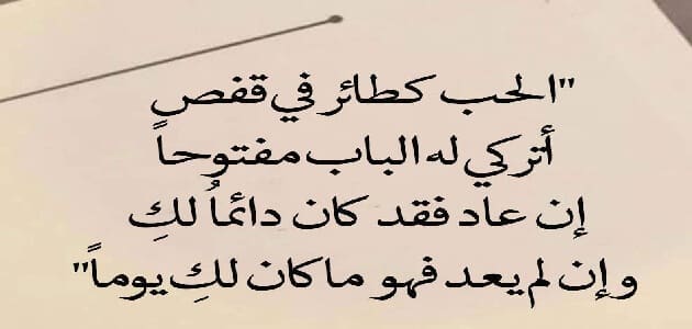 جرب تقول كلمه زى دى للحبايب وشوف النتيجه - كلام للحبيب من القلب 248 4