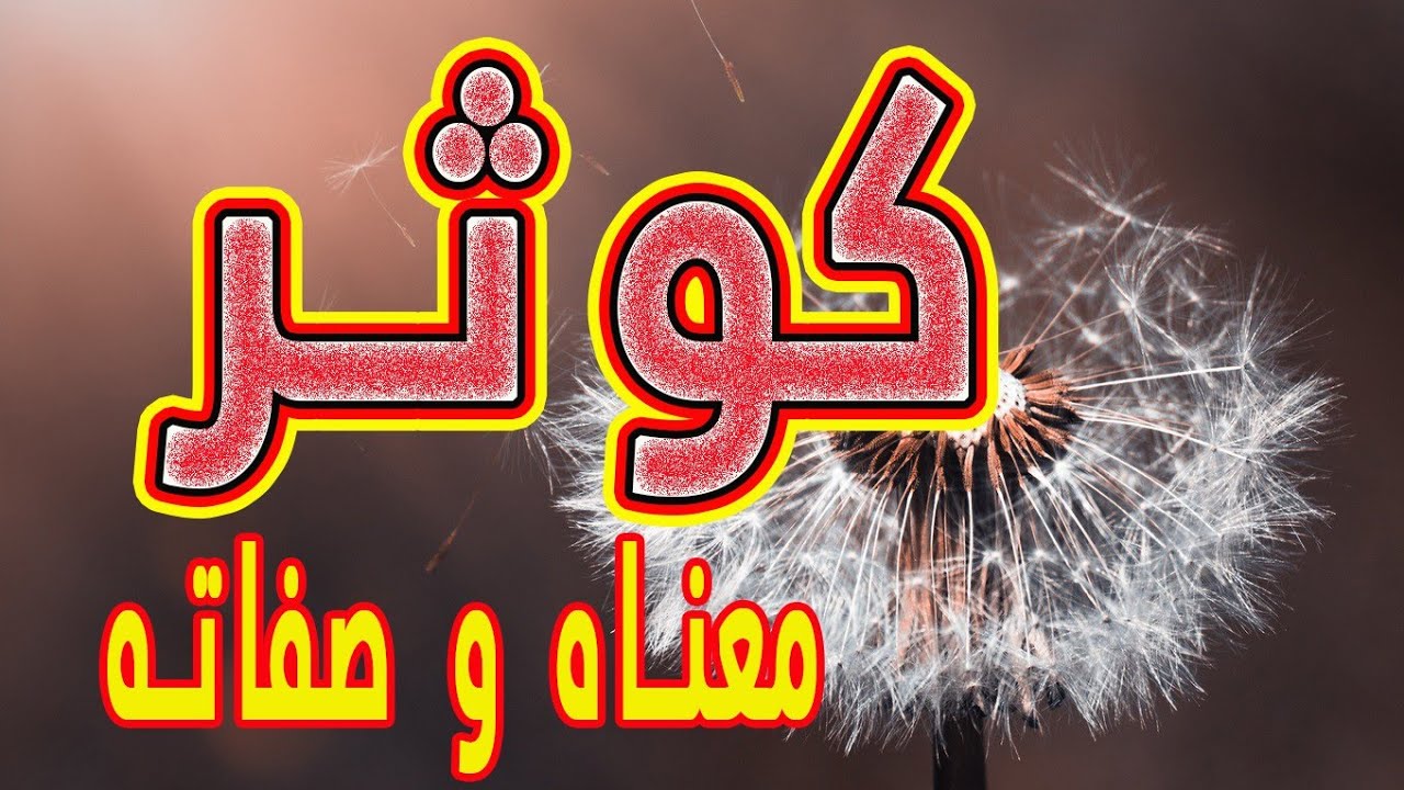 معنى اسم كوثر 6119 1