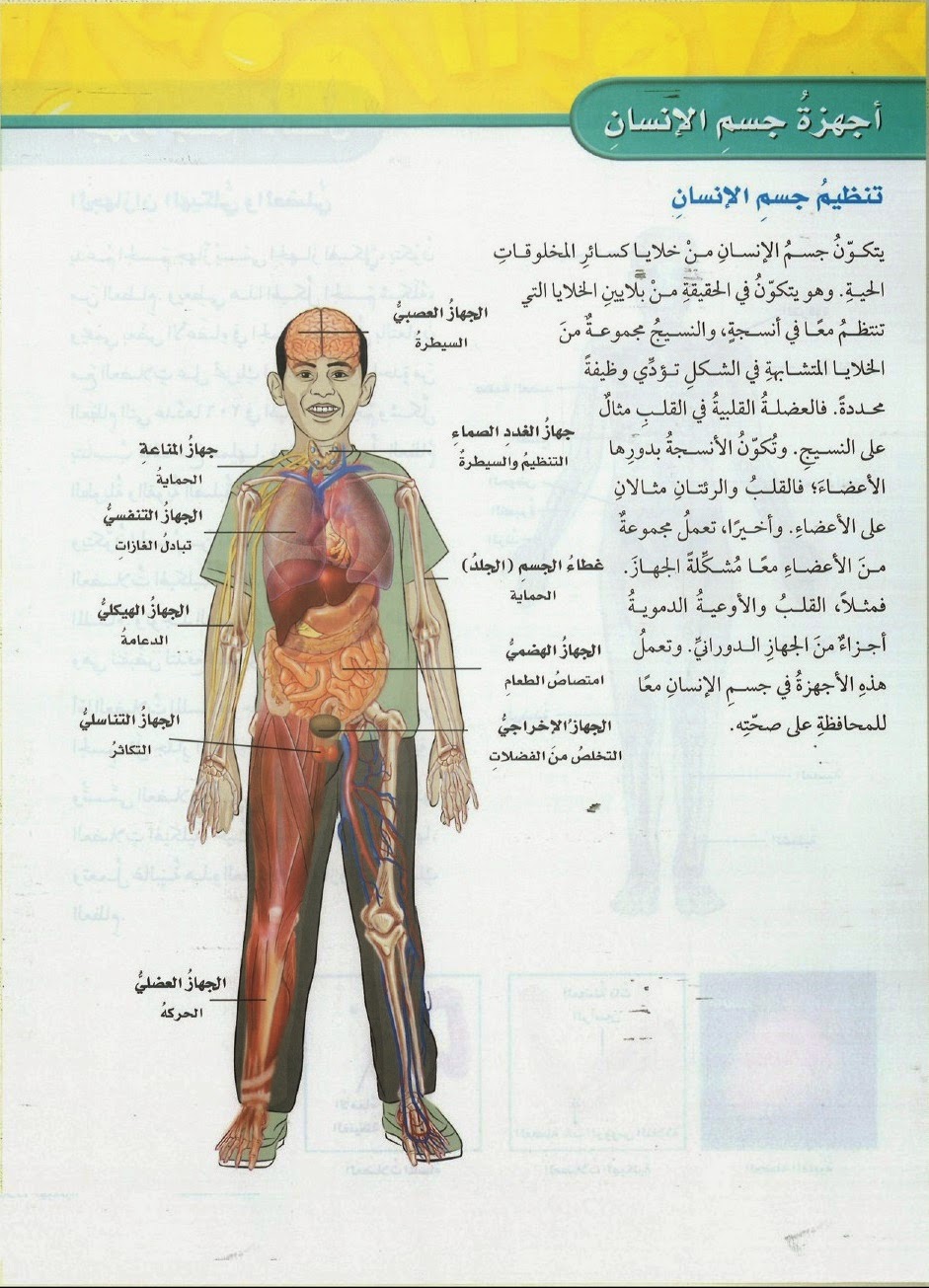 صور جسم الانسان , ماهي مكونات جسم الانسان