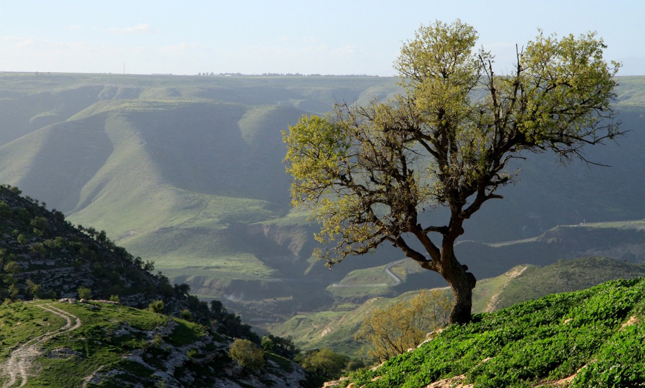 شعر عن الاردن 3565 8